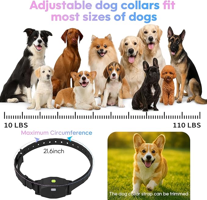 Wireless Dog Fence System for Dogs with Lighting, Adjustable 5 in 1 Electric Fence with Remote, 8 Adjustable Range, 3 Training Mode, Waterproof Training Collar Rechargeable