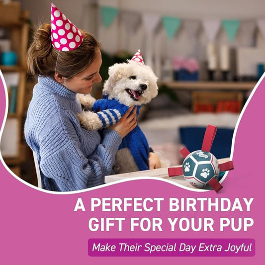 QDAN Small Dog Toys, Outdoor Indoor Toys to Keep Them Busy, Soccer Ball with Straps, Puppy Birthday Gifts, Dog Water Toy, Durable Puppy Balls(5 Inch)