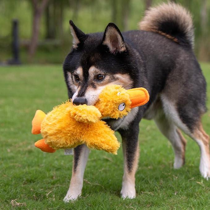 Best Pet Supplies Interactive Squeaky Dog Chew Toy, Ideal Dog Toys for Chewers, Small, Medium & Large Dogs, and Fetch Lovers - Ducky Doodle (Yellow), Large