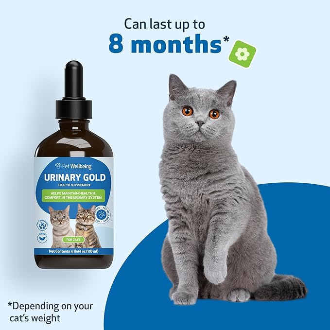 Pet Wellbeing Urinary Gold for Cats - Vet-Formulated Multi-Herb Urinary Tract Support - Feline Bladder Health & Urinary System Wellness - Holistic Cat Supplement - Liquid Formula (4 fl oz (118 ml))