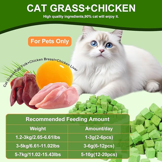 100g Freeze-Dried Cat Grass Treats, Natural Hairball Treatment for Cats, Edible Cats Chew Toy Cat Treats Snack for Teething Cleaning Hairball Removal