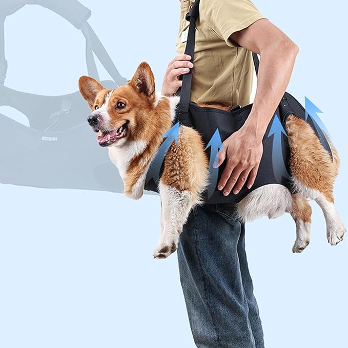 Dog for Large Leg Lift Harness for Injured Elderly Dogs Disabled Pet Supplies Lift Harness