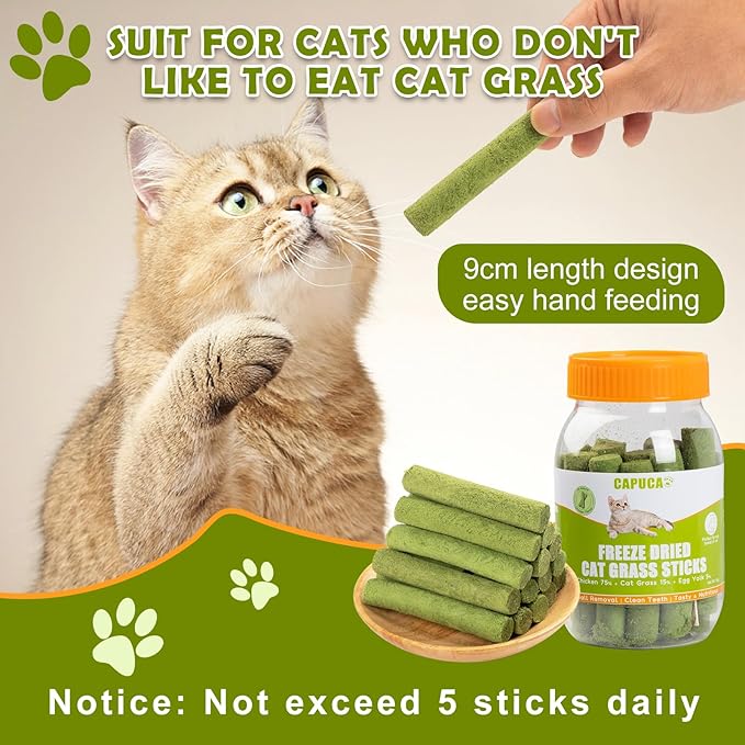 Freeze Dried Cat Grass Dental Sticks – Natural Teething Treats for Teeth Cleaning, Hairball Control & Digestion, Grain-Free Crunchy Snack (80g)