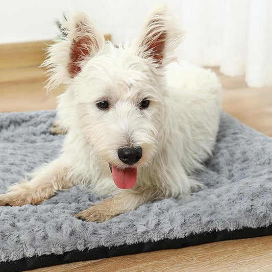 Pet Bed Cats Washable – Functional Elegant Sturdy Premium Cat Crate Supplies, Sleek, high-Performance, All Seasons Soft Dog, Beds Dogs Bedroom Or Balcony | Cats, Dogs, Stylish