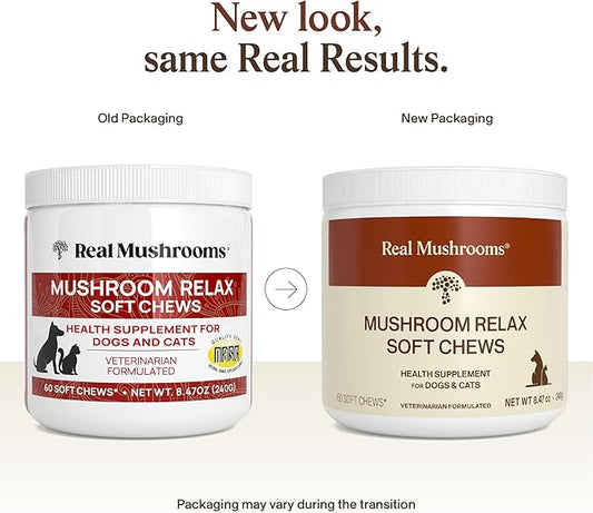 Calming Chews for Dogs & Cats β Soft Chews with Reishi & Lionβs Mane for Daily Composure β for All Breeds & Sizes β Calming Treats for Dogs: 1 Chew/20 lb Daily; Cats: ΒΌ Chew Twice Daily β 60 Count