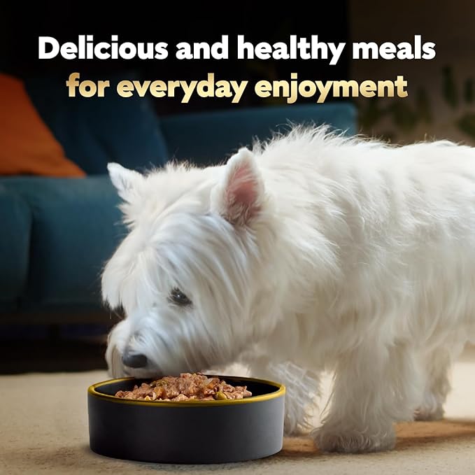 Cesar Home Delights Adult Wet Dog Food,Slow Cooked Chicken & Vegetables Dinner in Sauce,Wet Food for Dogs,3.5 oz Tray,24 Count (Pack of 2)