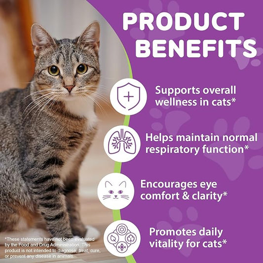 L-Lysine Drops for Cats 60ml - Natural Support for Eye & Respiratory Health | Chicken Flavor | Grain-Free & Gluten-Free | with Herbal Extracts & Vitamins | for Tear Stains & Sneezing
