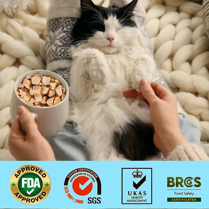 Freeze-Dried Salmon Treats for Cats & Dogs – 100% Wild Caught, Single Ingredient, High-Protein, No Additives or Preservatives – Nutrient-Rich, Grain-Free Healthy Snack-2.5Oz