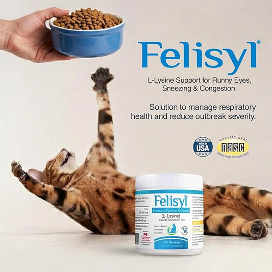 Felisyl L-Lysine Granules for Cats 100g (3.5 oz, 310 Servings) – Supports Immune, Respiratory, and Eye Health. Eases Sneezing, Runny Nose, and Watery Eyes. Tasty Salmon Flavor - Made in The USA