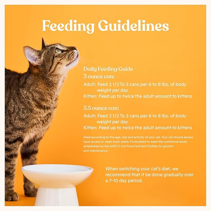 Made by Nacho Turkey & Turkey Liver Recipe Grain-Free Minced Wet Cat Food, 5.5-oz can, Case of 6