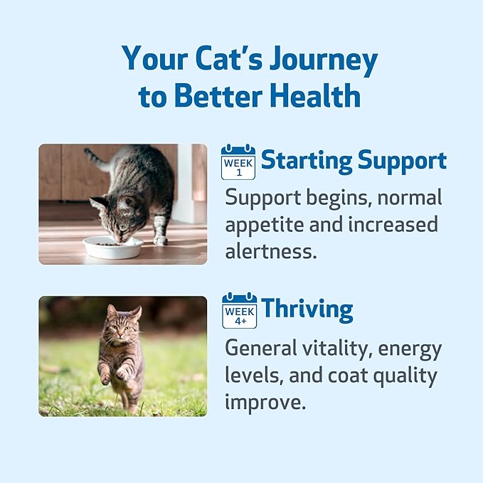 Pet Wellbeing Life Gold for Cats - Supports Detoxification & Healthy Immune Defenses with Burdock & Sheep Sorrel - NASC Certified & Vet-Formulated - 2 oz Liquid Formula