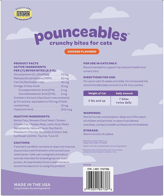 Crunchy Cat Treats, Chicken Flavor, Hip and Joint Health, Urinary Tract Support, Large 32oz Box