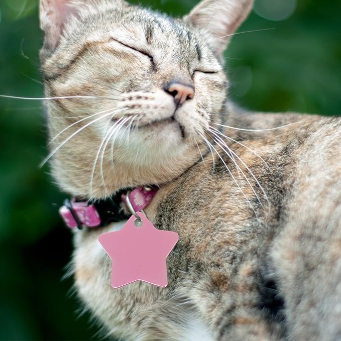 10pcs Colorful Pet Id Tags Aluminum Star-Shaped Dog Collar Pendants Sturdy Address Neck Tags for Cats and Dogs Anti-Lost Pet Supplies Random Color