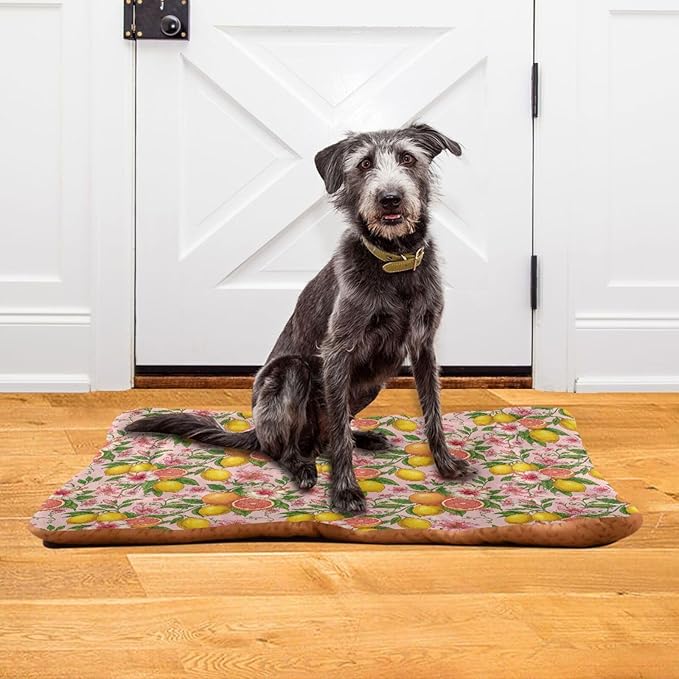 Dog Bed for Crate Washable Pet Sleep Pad, Lime Kennel Mat with Non-Slip Bottom, Soft Fluffy Supplies Pet for Dogs and Cats (36x24 inch)