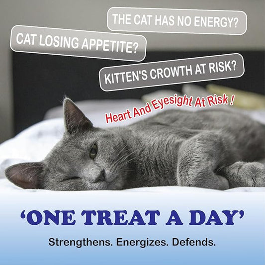 KittySupps Taurine Supplement for Cats,Pawvita Taurine- 99.9% Pure Taurine Supports Vitality & Coat Health, Easy to Mix in Food, with Dosing Spoon, 200g