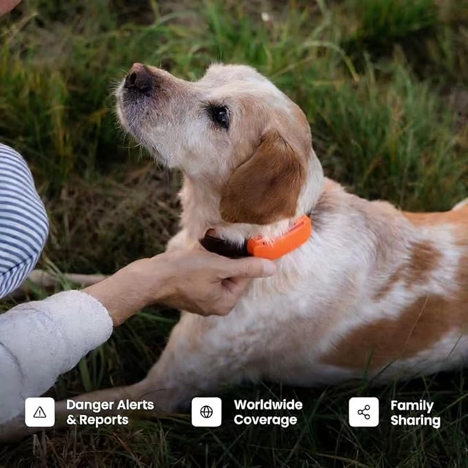 4G Smart GPS Pet Tracker with Real-Time Location Tracking,Waterproof, Historical Trajectory, Long Battery Life, Nationwide Coverage, Fits All Collars(Subscription Required)