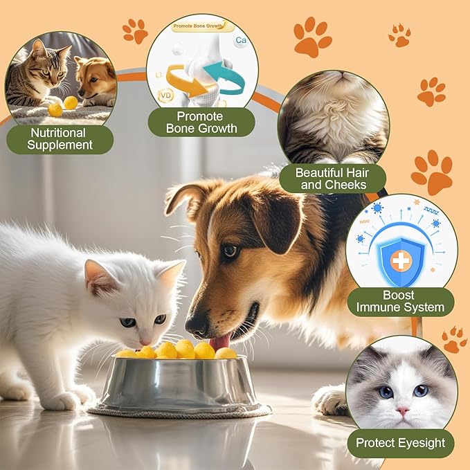 Dylan's cabin Freeze Dried Quail Egg Yolk - Single Ingredient Cat and Dog Treats Raw Natural Healthy Tasty Snacks for Training (198g)