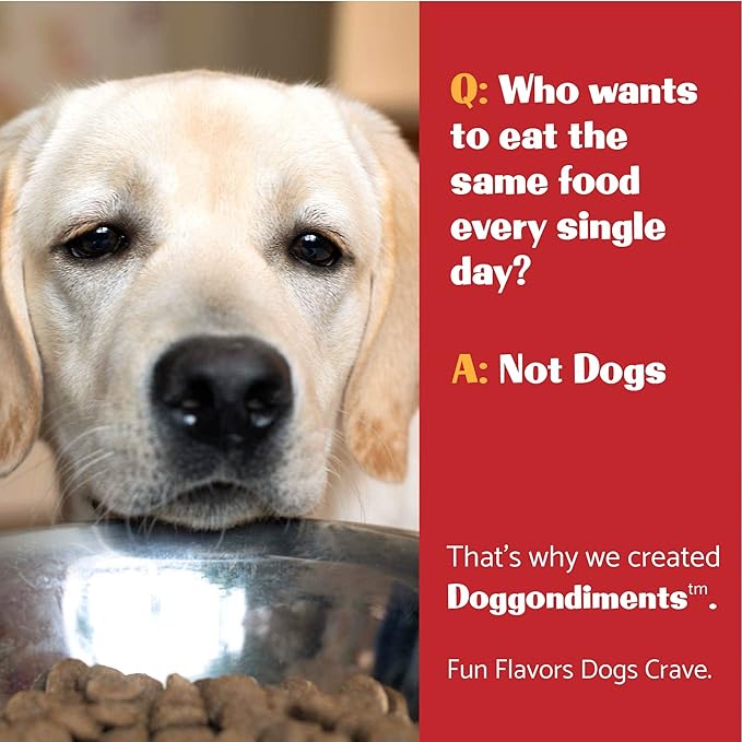 Movie Night Butter Popcorn Dog Food Topper, Fun People Food Flavors, Powder, Small & Large Breeds, Made in USA