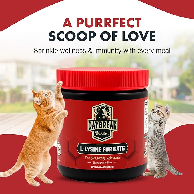 L-Lysine for Cats and Kittens - 900 mg L Lysine Powder for Cats for Immunity & Respiratory Support - Cat Supplement with L-Lysine, Prebiotics, Krill, & DMG for Immune System (120 Servings)