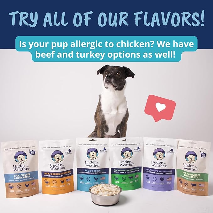 Under the Weather Easy to Digest Bland Diet for Sick Dogs - Always Be Ready - Contains Electrolytes - Gluten Free, All Natural, Freeze Dried 100% Human Grade Meats - Chicken, Rice & Bone Broth