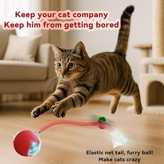 Speedy 2.0 Tail 2 Packs Interactive Cat Toys for Indoor Cats, Automatic Cat Toy with Elastic Mesh Tail, Electric Rolling Ball on Carpet, Chirping and Motion Activate Cat