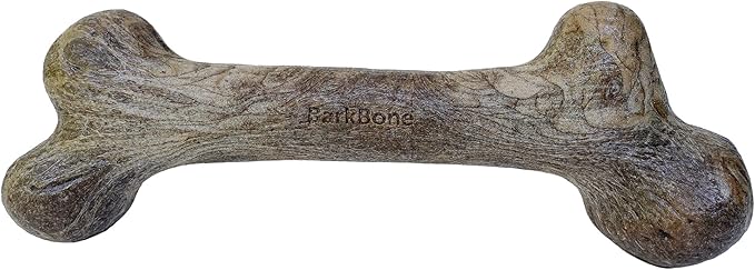 Pet Qwerks Dinosaur BarkBone - Nylon Dog Bone for Aggressive Chewers - Bacon Flavor - 6.5"