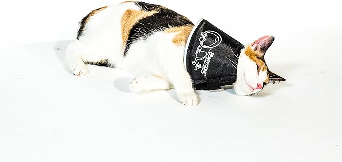 All Four Paws Comfy Cone Pet Cone for Dogs, Cats, Small, Tan - Comfortable Soft Dog Cone Collar Alternative for After Surgery, Wound Care, Spay, Neuter - Dog and Cat Recovery Elizabethan-Collar