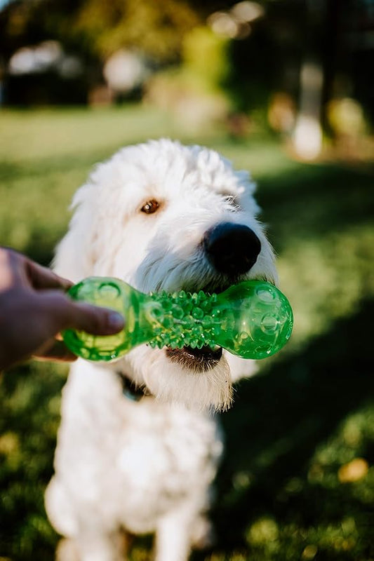 Hyper Pet Dura-Squeaks Barbell Interactive Fetch Dog Toy with Squeaker Made with Sturdy TPR That Floats in Water (Pack of 2)