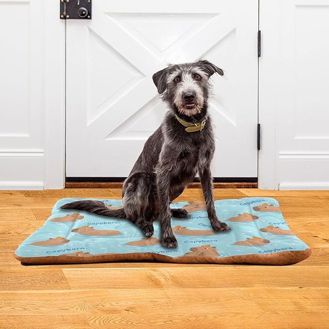 Dog Bed for Crate Washable Pet Sleep Pad, Capybaras Print Kennel Mat with Non-Slip Bottom, Soft Fluffy Supplies Pet for Dogs and Cats (24x18 inch)