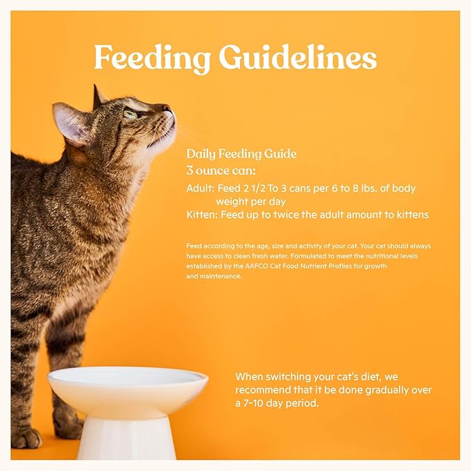 Made by Nacho Flaked Filets Recipe in Bone Broth, Grain-Free Chef's Selects Wet Food for Cats Balanced Diet in Naturally Hydrating Pumpkin-Infused Broth (3.0 oz (Pack of 12), Tuna & Sea Bass)