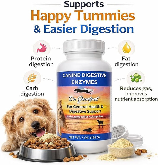 Dr. Goodpet Canine Digestive Enzymes Powder for Dogs – Supports Healthy Digestion, Gas Relief & Nutrient Absorption – Human-Grade Enzymes (Protease, Amylase & Lipase) – 7oz Digestive Supplement