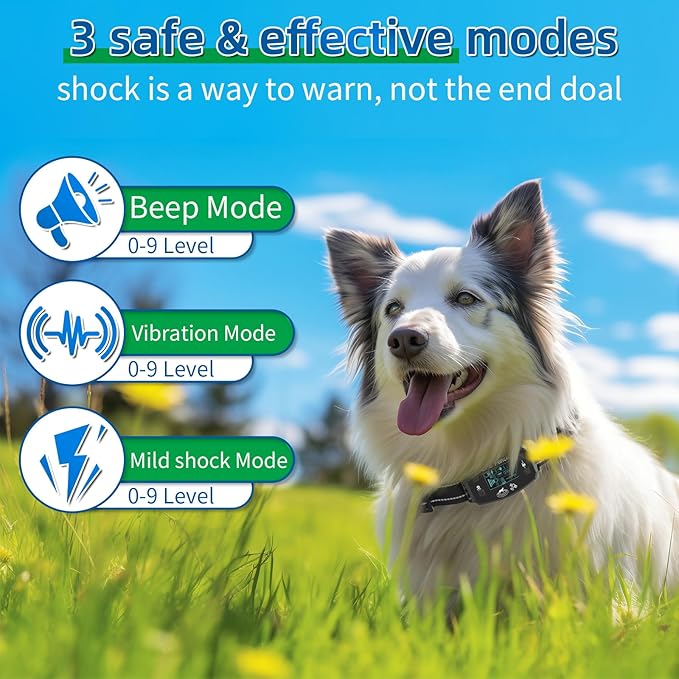GPS Wireless Dog Fence, Range up to 6561 ft,Electric Collar with 3 Warning Modes, for Outdoor Use Waterproof& Rechargeable Pet Containment System for Most of Dogs (Black)