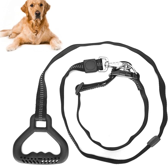 Heavy Duty Dog Leash Collar Set, Adjustable Nylon Leash with Soft PP Handle, Durable Rope Leash Collar for Small Medium Large Dogs, Pet Supply with Elastic Shock (Black)