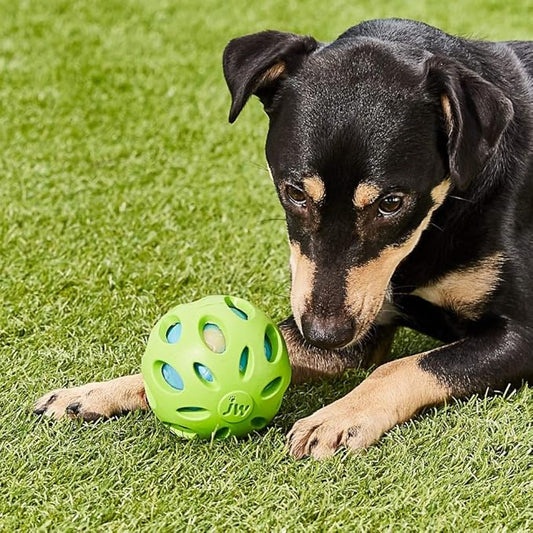 Petmate Crackle Heads Crackle Ball Crunchy Noise Chew Fetch Toy for Dogs Assorted Colors, Medium 3' Diameter