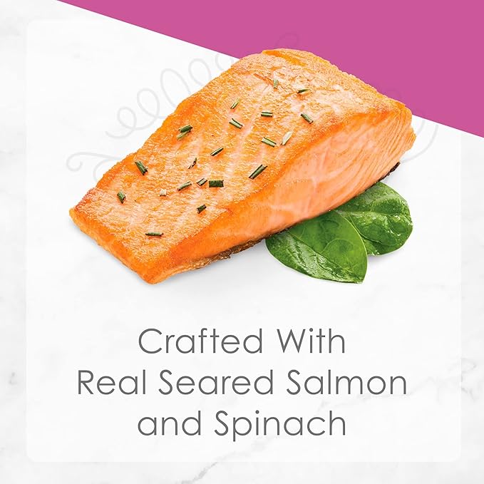 Fancy Feast Gourmet Grain-Free Meals Wet Cat Food Pate and Gravy Petites 10 Twin Pack Trays, 20 Servings (Seared Salmon in Gravy)