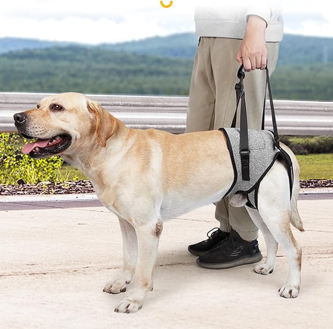 Dog for Large Dogs Back Lift Harness for Injured Elderly Dogs Disabled Pet Supplies for Back Legs Accessories
