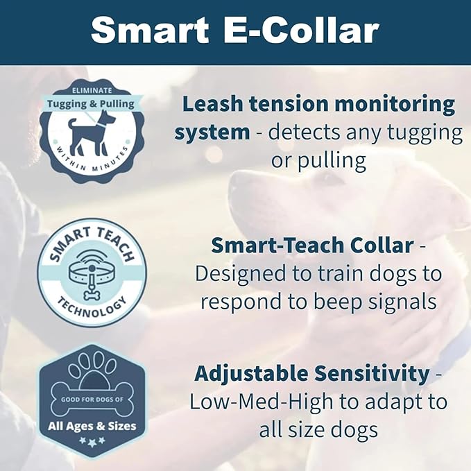 Generic Dog Training Collar, Dog Leash Anti-Pulling Anti-Tugging, E- Collar Kit for Large and Small Dogs, Dog Shock Collar with Manual and Auto Function Options Rechargable, Black
