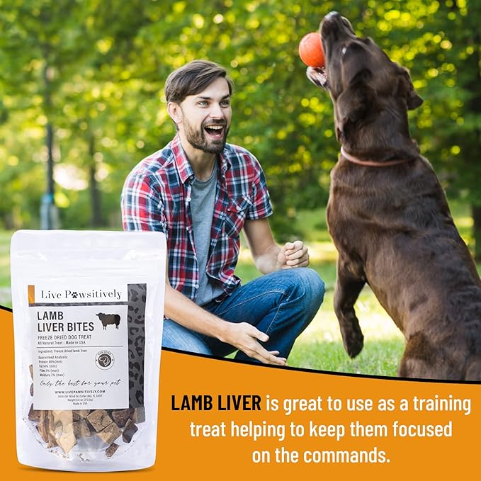 All-Natural Treat for Dogs & Cats, Single Ingredient, Picky Eaters, Grain & Gluten Free, Freeze Dried Lamb Liver, No Preservatives, Made in USA