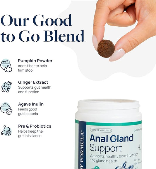 Veterinary Formula Anal Gland Support for Dogs โ Vet-Formulated No Scoot Chews with Pumpkin, Ginger, Agave Inulin & Probiotics โ Supports Scooting, Stool Quality & Digestive Health, 60 Soft Chews