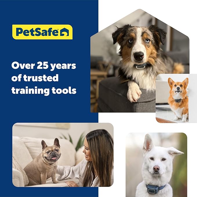 PetSafe 300 Yard Remote Training Collar – Choose from Tone, Vibration, or 15 Levels of Static Stimulation – Medium Range Option for Training Off Leash Dogs – Waterproof and Durable – Rechargeable