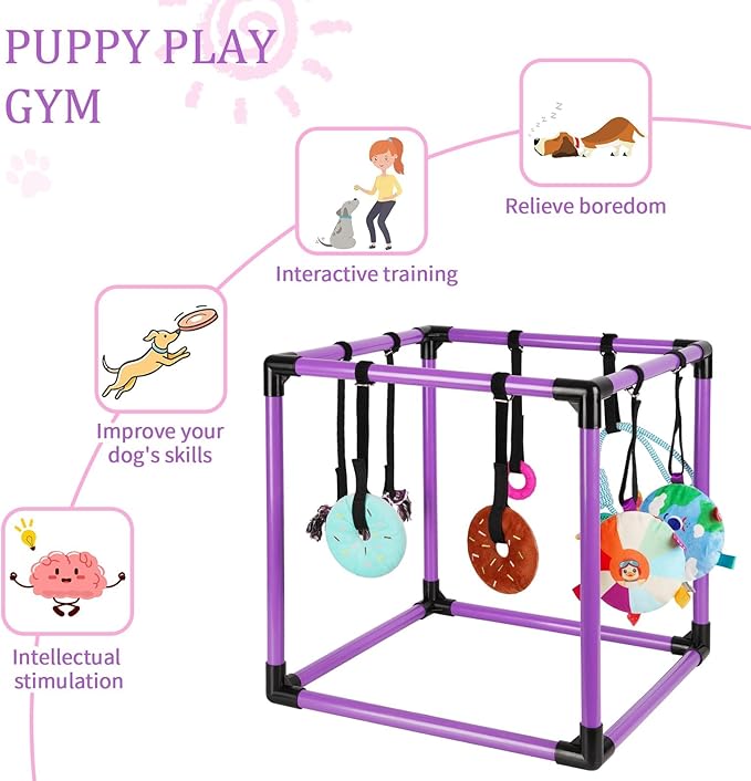 Liitrton Puppy Play Gym - Small Dogs Play Gym with 8 Hanging Toys, Indoor Puppy Jungle Gym with Interactive Dog Enrichment Toys, 19.5"x19.5"x19.5" PVC Frame (Purple)