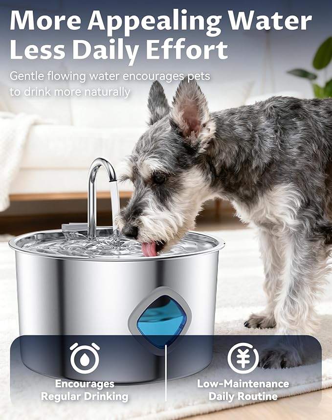 Dog Water - Multi-Filtration and Steady Water Circulation, Easy to Clean,Pet Water Fountain with Ultra-Quiet Pump (8 Filters + 4 Sponges)