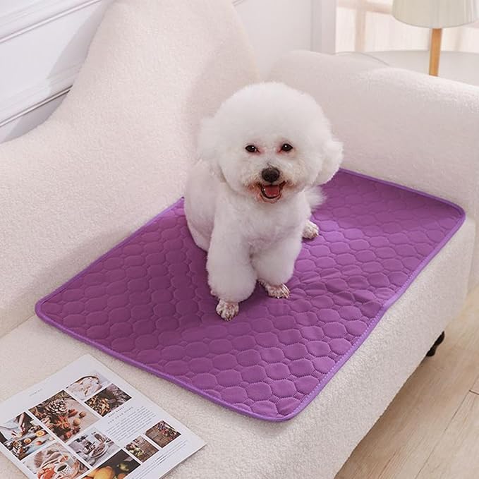 Washable PeePads,Absorbent Reusable Puppy Potty Pee Pads | Leakproof Pet Supplies Non-Slip Whelping Mats for All Breeds