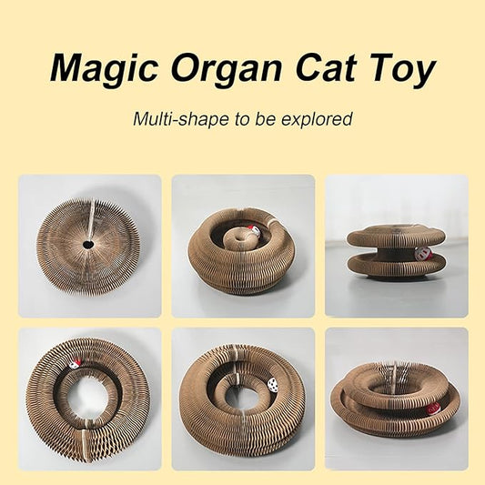 Kitty Curlz Cat Toy, Magic Organ Cat Interactive Scratcher Cardboard with Bell Ball, Foldable & Changeable Accordion Shape Exercise Anxiety Relief Toy for Indoor Cats(1PCS)