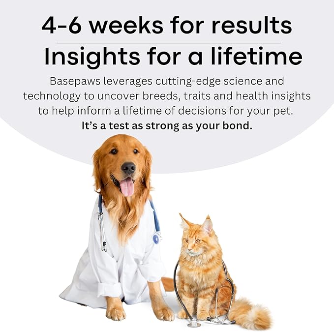 Basepaws Dog DNA Testing Kit - 330+ Breeds, 280+ Health Risks, and 30+ Traits - Comprehensive Mixed Breed Identification, Pet DNA Test kit, Canine Genetic Ancestry and Heritage