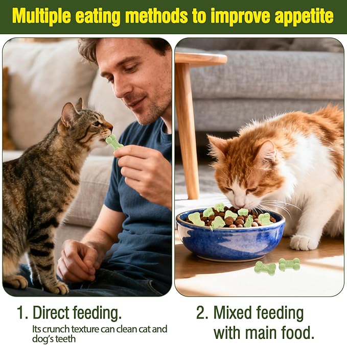Natural Salmon Freeze-Dried Crunchy Chicken Cat Treats – Ideal for All Cat Breeds, No Additives