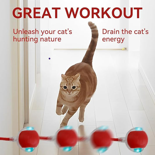 Interactive Electric Automatic Rolling Moving Rechargeable Self Play Stimulation Toy,Smart Pet Chase Ball with Speedy Tail Rope for Bored Indoor Cats Enrichment,stimulating Dogs Toy (Red)