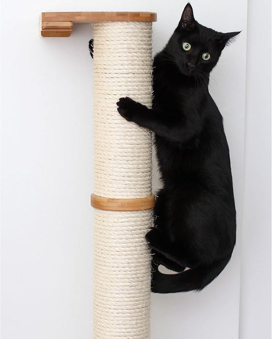 Catastrophic Creations Cat Scratching Post – 2-Tier Cat Wall Scratcher - Bamboo and Sisal Cat Scratcher Post – Durable Cat Scratching Posts for Indoor Cats – Modern Cat Furniture