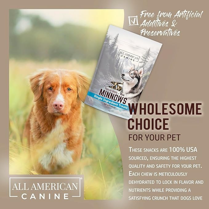 Freeze Dried Minnow Cat & Dog Treats 1.25oz – Single Ingredient Whole Fish - USA Raised High Protein Omega‑3 Training Snacks for Cats Kittens Puppies Dogs