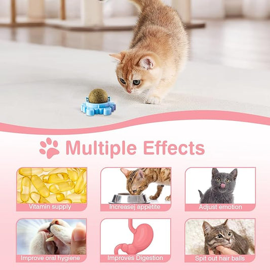 Catnip Ball 360° Balls for Cats Catnip Balls Interactive Toys Wall Catnip Toy Cat Nip Anxiety Relief Indoor Edible Rotatable Play Chew Teeth Cleaning Cat Nips Organic Ball 4 Pack